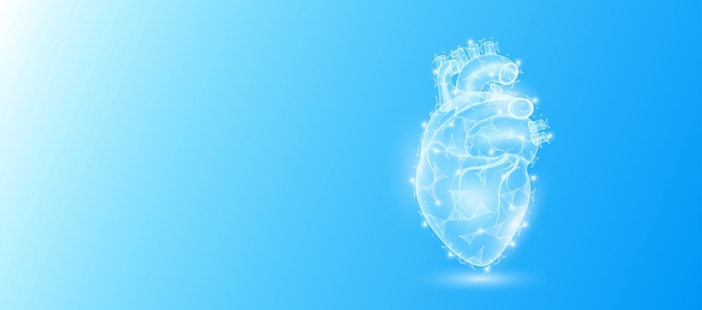 lungs and heart